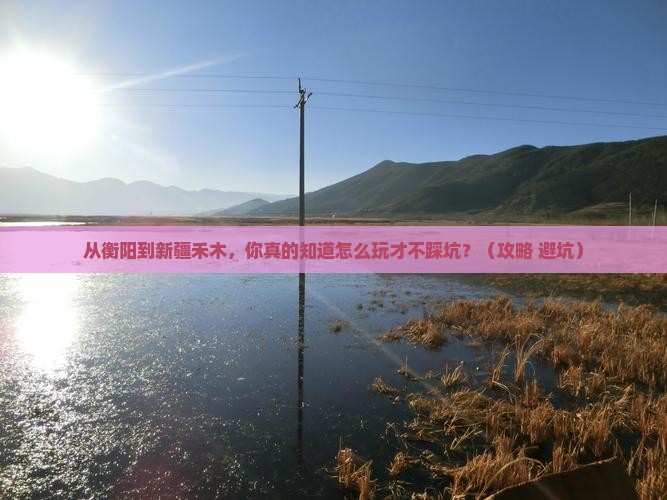 衡阳到新疆禾木哪里玩