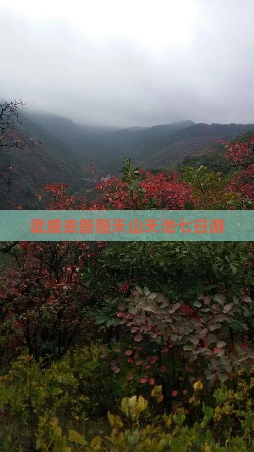 武威去新疆天山天池七日游