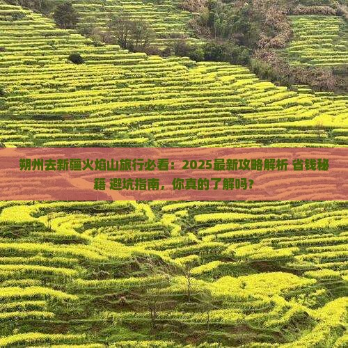 朔州去新疆火焰山旅行社