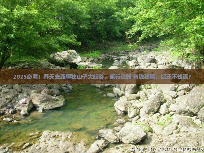 春天去新疆独山子大峡谷旅行社