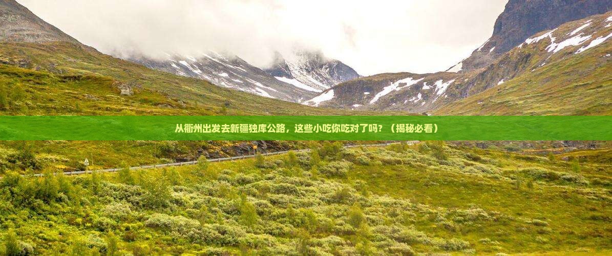 衢州去新疆独库公路旅游小吃