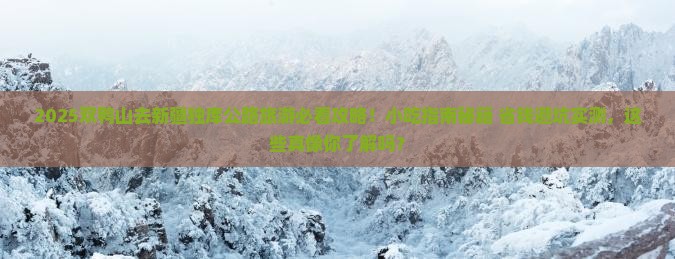 双鸭山去新疆独库公路旅游小吃