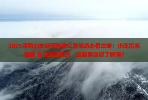 双鸭山去新疆独库公路旅游小吃