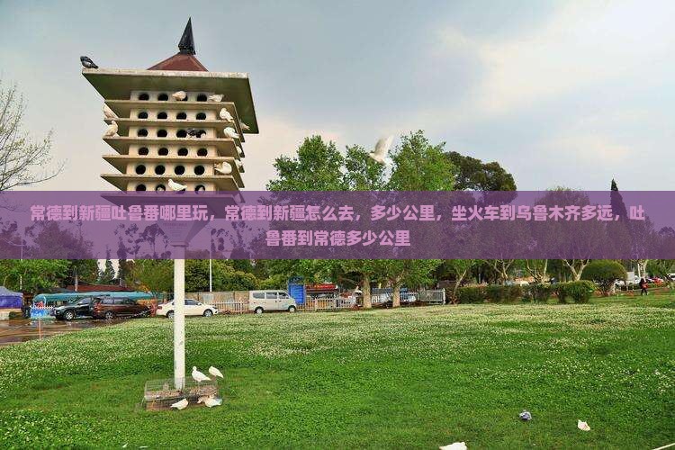 常德到新疆吐鲁番哪里玩
