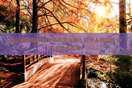 淮北去新疆伊犁大草原哪里玩