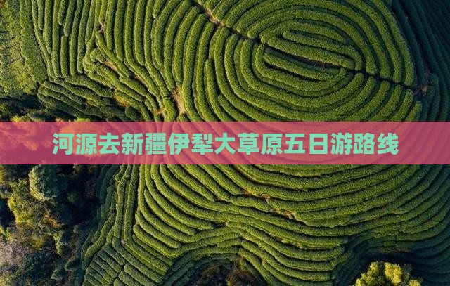 河源去新疆伊犁大草原五日游 河源去新疆伊犁大草原五日游