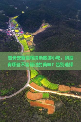 吉安去新疆喀纳斯旅游小吃