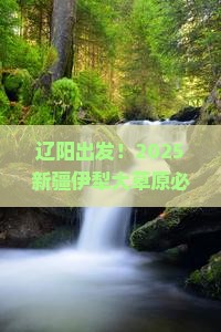辽阳去新疆伊犁大草原必去地