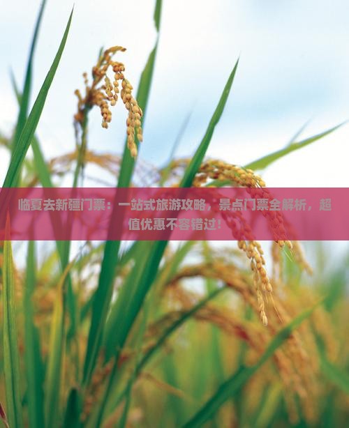 临夏去新疆门票 临夏去新疆门票