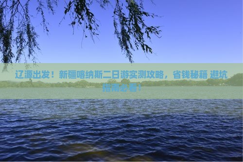 辽源去新疆喀纳斯二日游