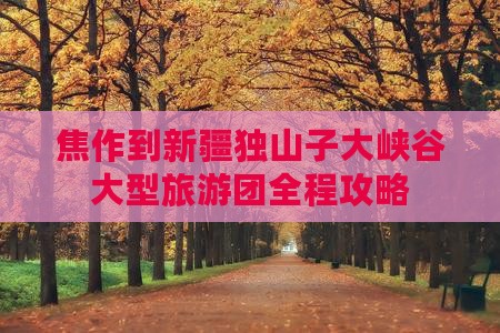 焦作到新疆独山子大峡谷大型旅游团