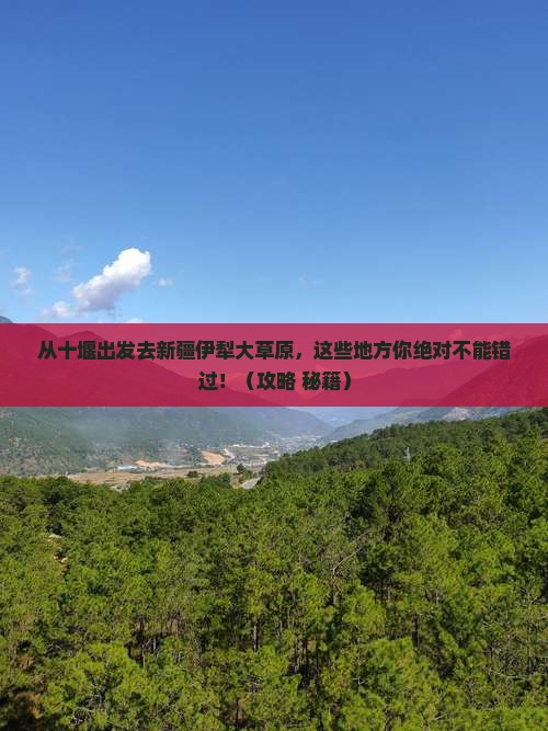 十堰去新疆伊犁大草原必去地