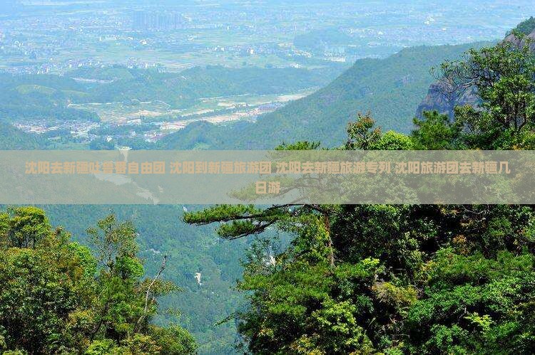 沈阳去新疆吐鲁番自由团