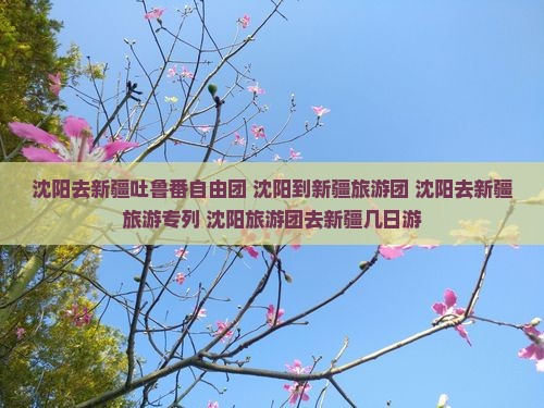 沈阳去新疆吐鲁番自由团