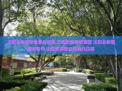 沈阳去新疆吐鲁番自由团
