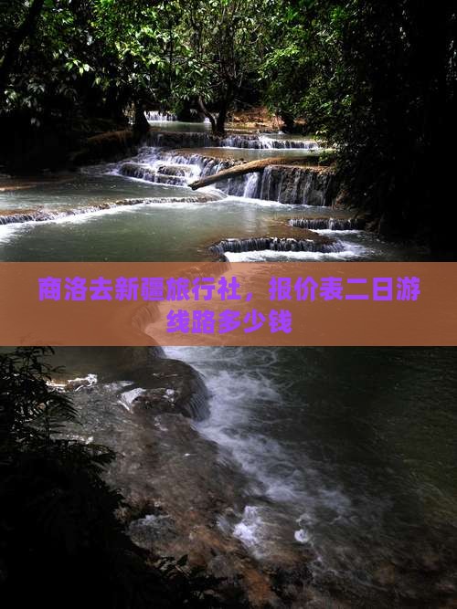商洛去新疆旅行社