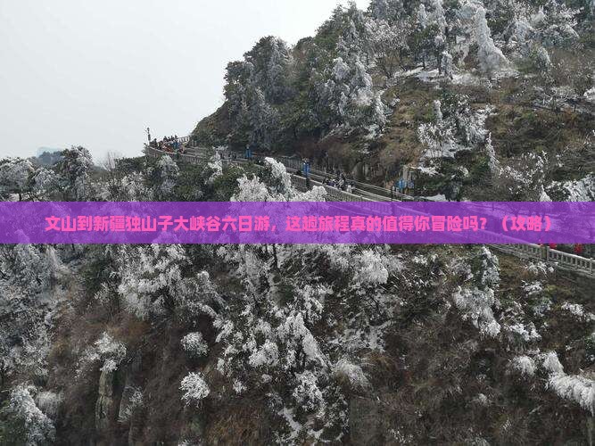 文山到新疆独山子大峡谷六日游