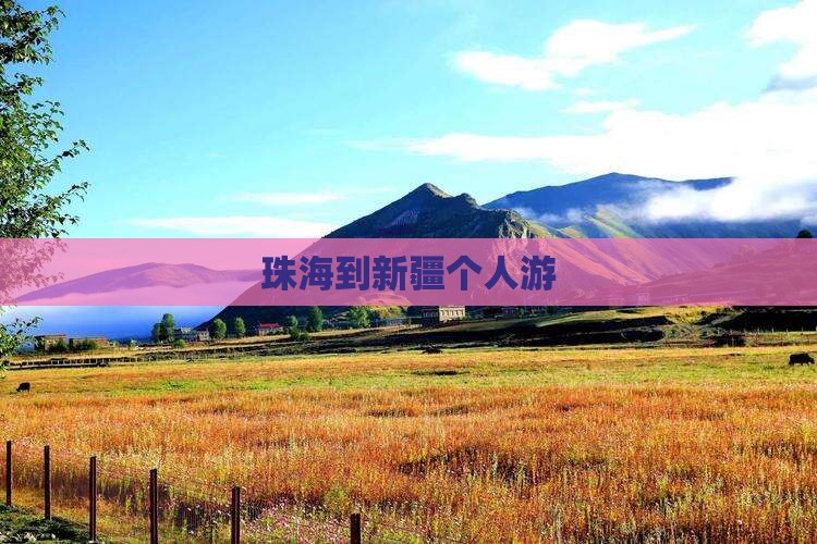 珠海到新疆个人游