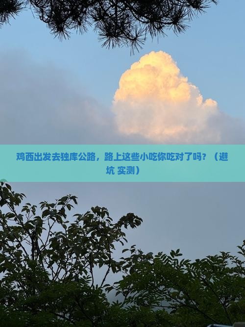 鸡西到新疆独库公路旅游小吃