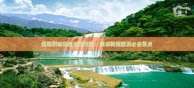 信阳到新疆自由团