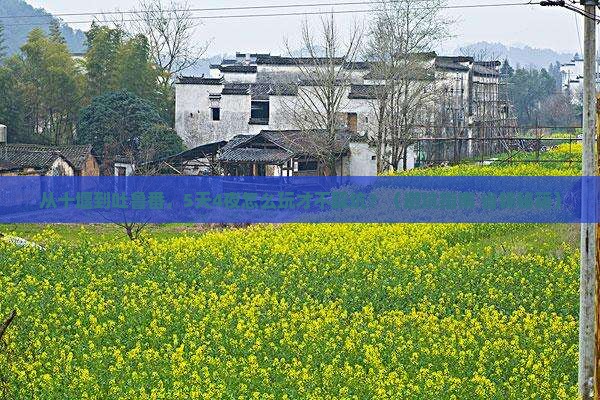 十堰去新疆吐鲁番攻略