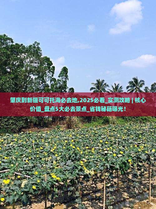 肇庆到新疆可可托海必去地