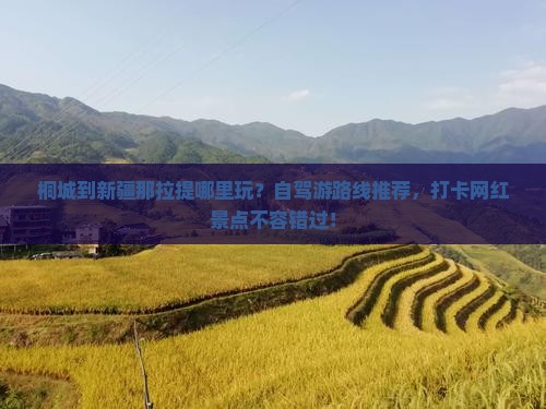 桐城到新疆那拉提哪里玩？自驾游路线推荐，打卡网红景点不容错过！