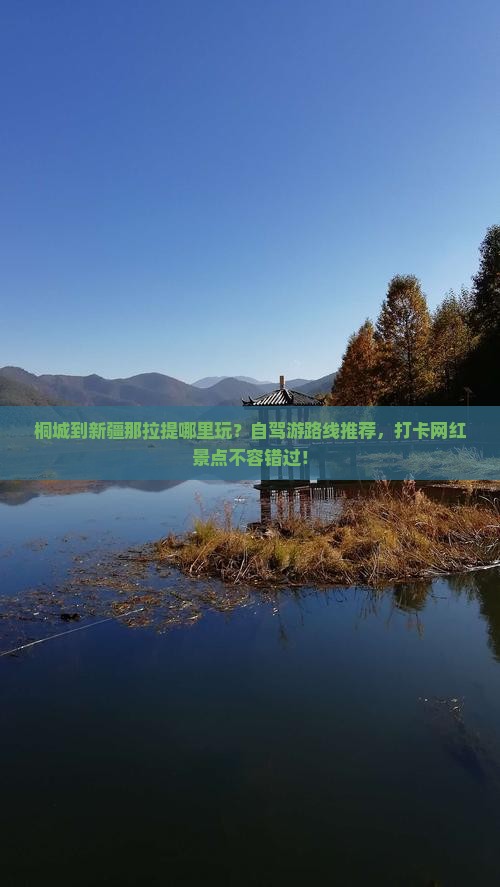 桐城到新疆那拉提哪里玩？自驾游路线推荐，打卡网红景点不容错过！