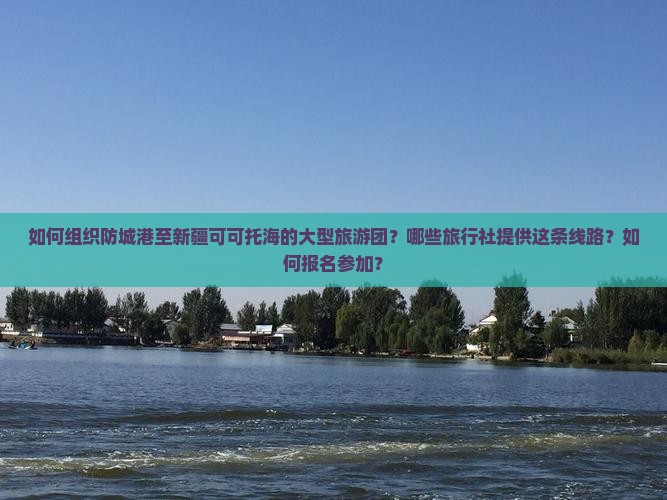 如何组织防城港至新疆可可托海的大型旅游团？哪些旅行社提供这条线路？如何报名参加？