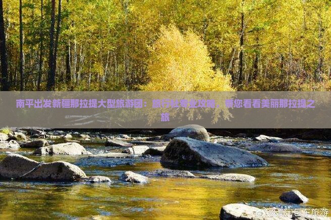 南平出发新疆那拉提大型旅游团：旅行社专业攻略，带您看看美丽那拉提之旅