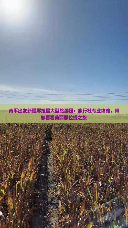 南平出发新疆那拉提大型旅游团：旅行社专业攻略，带您看看美丽那拉提之旅