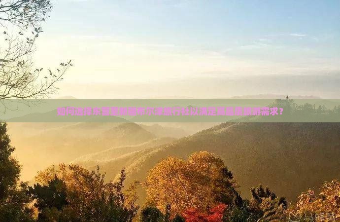 如何选择东营至新疆布尔津旅行社以满足高品质旅游需求？