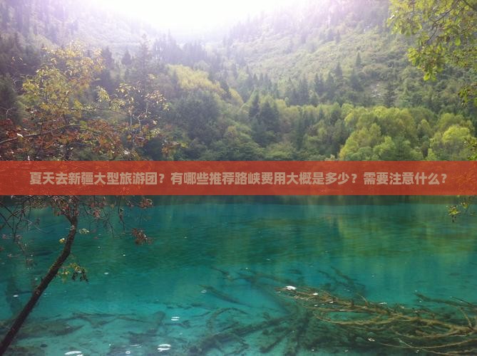 夏天去新疆大型旅游团？有哪些推荐路峡费用大概是多少？需要注意什么？