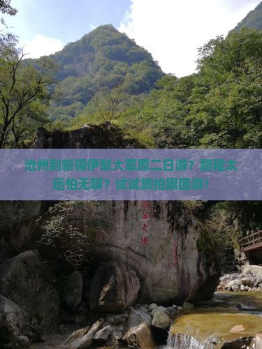 沧州到新疆伊犁大草原二日游？路程太远怕无聊？试试旅拍跟团游！
