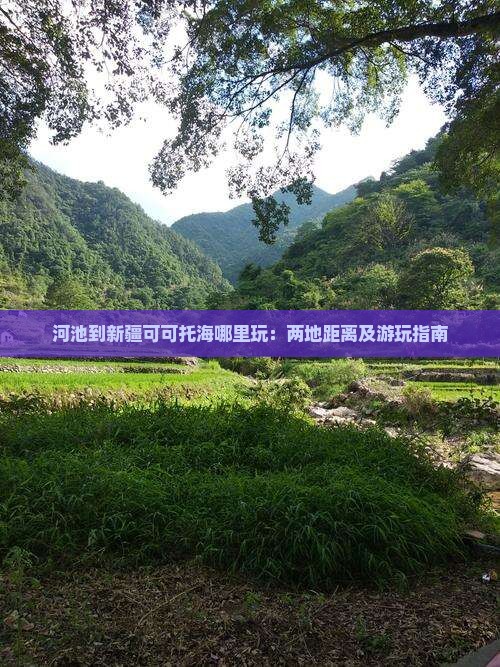 河池到新疆可可托海哪里玩：两地距离及游玩指南