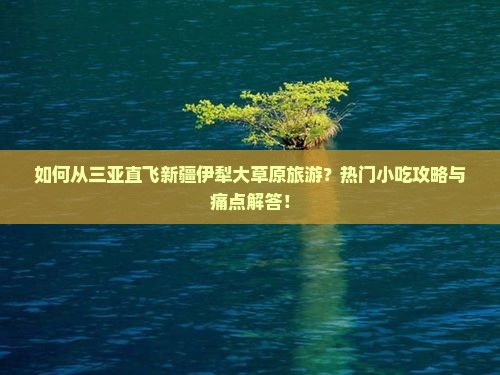 如何从三亚直飞新疆伊犁大草原旅游？热门小吃攻略与痛点解答！