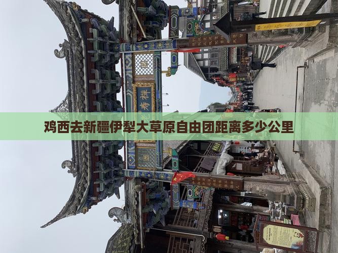 鸡西去新疆伊犁大草原自由团距离多少公里