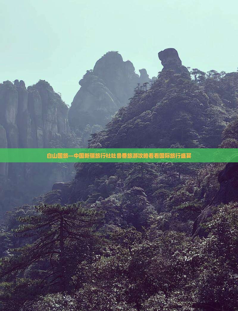 白山国旅—中国新疆旅行社吐鲁番旅游攻略看看国际旅行盛宴