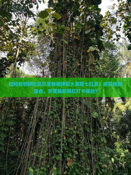 如何规划呼伦贝尔至新疆伊犁大草原七日游，避开旅游痛点，享受最新网红打卡体验？