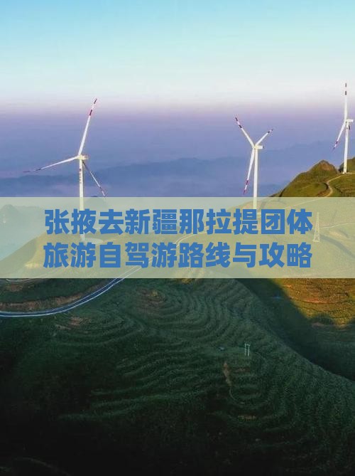 张掖去新疆那拉提团体旅游自驾游路线与攻略