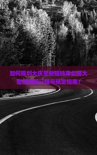 如何规划大庆至新疆独库公路大型旅游团行程与预定指南？