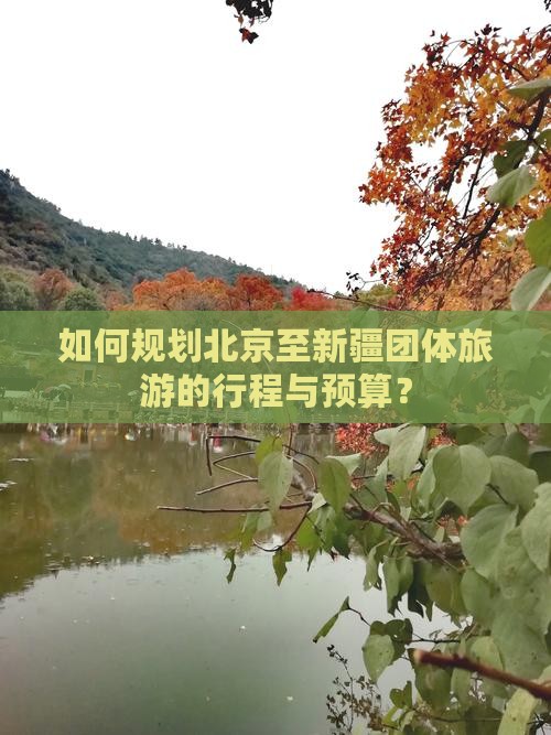 如何规划北京至新疆团体旅游的行程与预算？