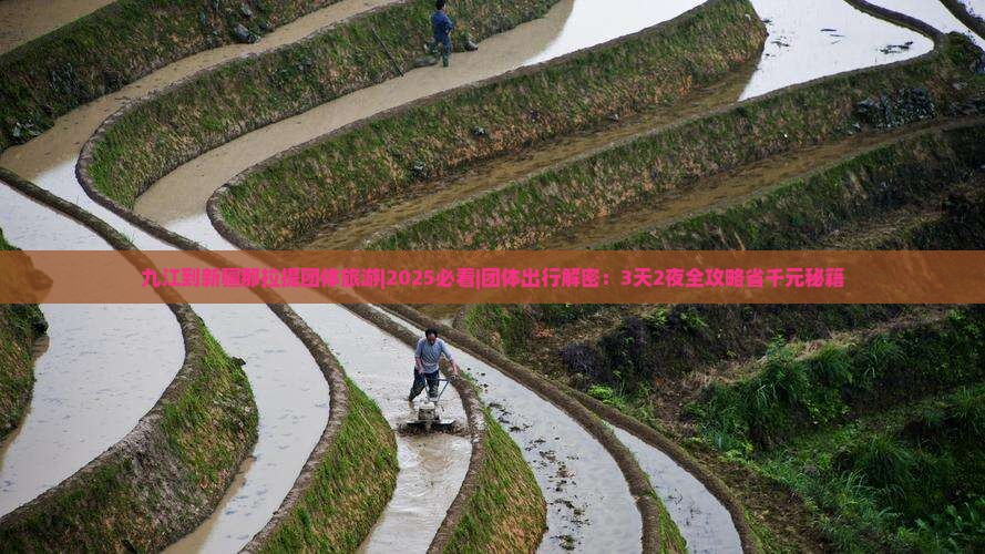 九江到新疆那拉提团体旅游
