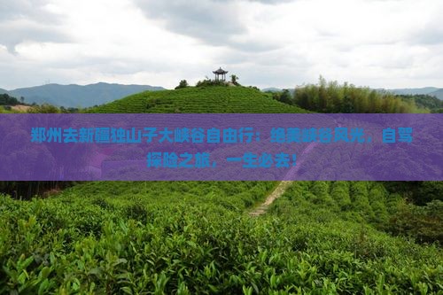 郑州去新疆独山子大峡谷自由行