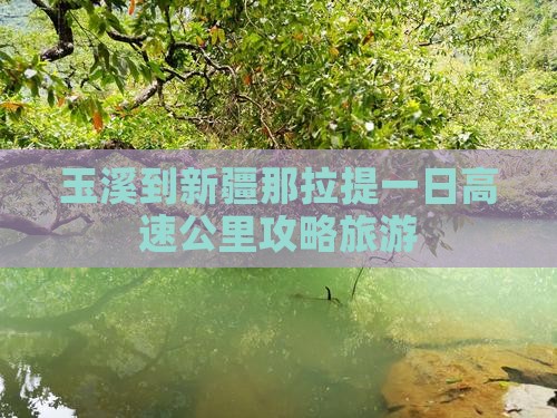 玉溪到新疆那拉提一日