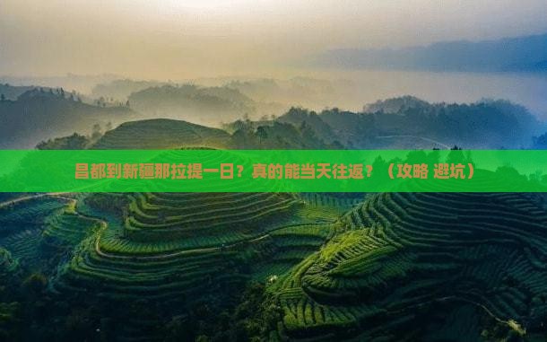 昌都到新疆那拉提一日