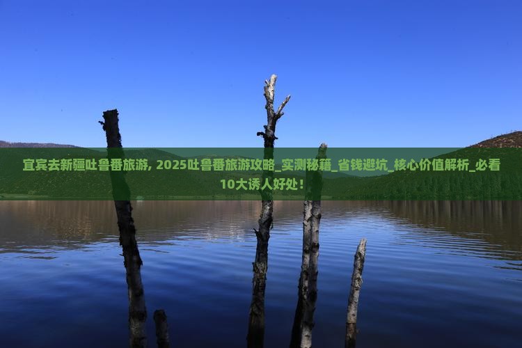 宜宾去新疆吐鲁番旅游