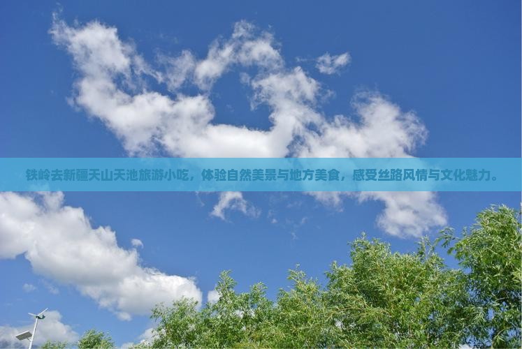 铁岭去新疆天山天池旅游小吃