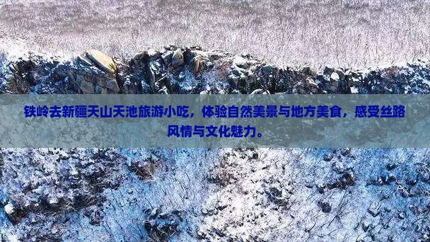 铁岭去新疆天山天池旅游小吃