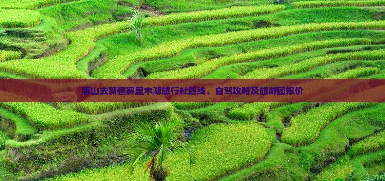 唐山去新疆赛里木湖旅行社